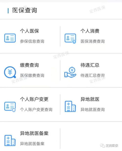 正规医保服务平台界面